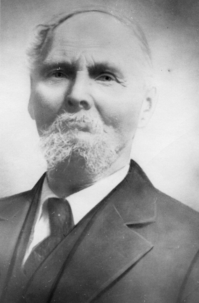 Austin Walter Tracy (1846 - 1924) Profile